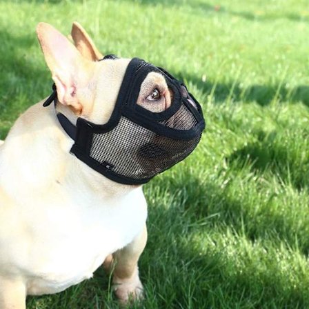 Justerbart nät för tugga- och skällträning Hundmunkorg, Engelsk Fransk Bulldog Peking Shih Tzu Mops Munkorg, Svart L