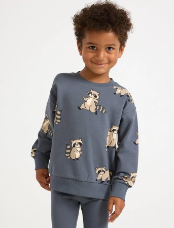 Lindex Sweatshirt Racoon - Blue - 92