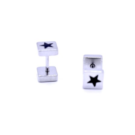 Örhängen med stjärna som motiv