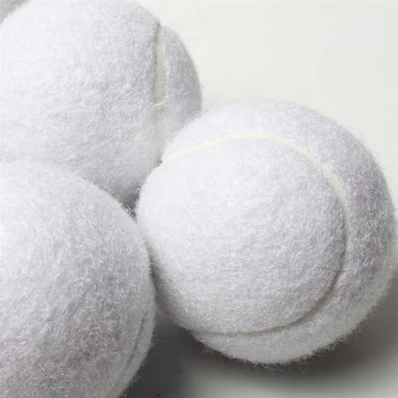 Kjæledyr leker leker med gå med hunder spesiell bittbestandig tennis ball for trening