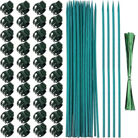 Växtstöd Pinnar Kit - 30cm, 20 Pinnar, 40 Clips, 20 Band