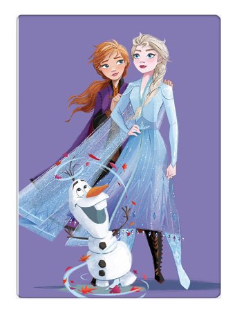 Fleece Plaid Frozen 1037 Patterned BrandMac