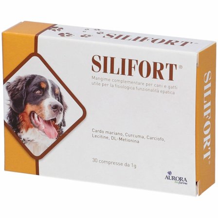 Silifort 30 Compresse 1g