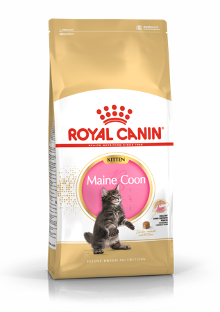 Royal Canin - Katterase Maine Coon kattunge 10 kg - Katt - Kattefôr & kattemat - Tørrfôr for katt - ZOO.no