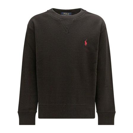 Polo Ralph Lauren Sweatshirts Brun, Herre