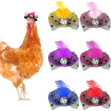 Pieces Kyllinghatter til høner Tiny Pets Funny Chicken Accessories Fea