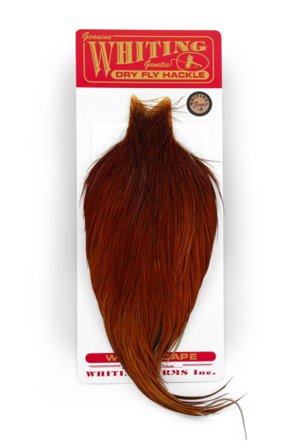 Whiting Bronze Cape Brown