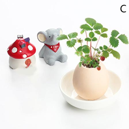 Eggshell Shape S Creative Ers Bonsai Pots Garden Desktop Decora