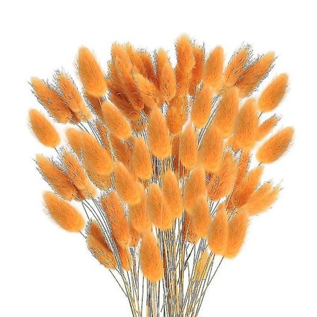 60 stk høst tørkede blomster kaninhaler blomster for tørket floral (oransje)