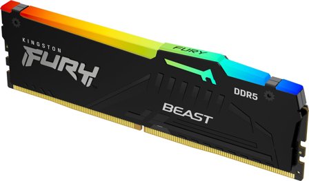 Kingston FURY Beast RGB - DDR5 - modul - 32 GB - DIMM 288-pin - 5600 MHz / PC5-44800 - ikke-bufret