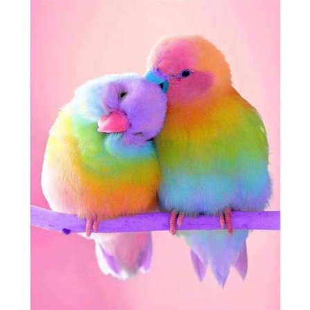 5D Diamantmålningsset Komplett Borr för Vuxna Fågel Kristallhantverk