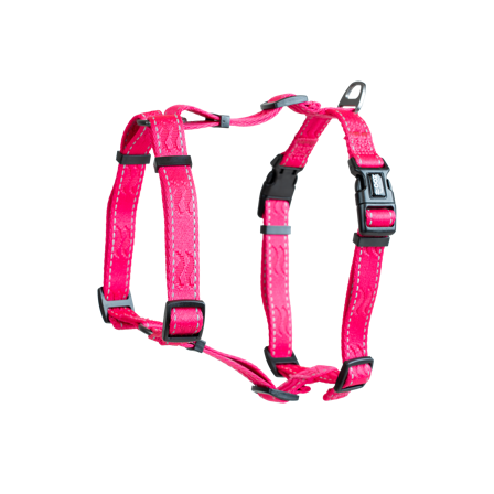 Selected by ZOO - Sele Rufus H-sele justerbar XS/S 15 mm x 50 cm Rosa - Hund - Halsbånd - ZOO.no