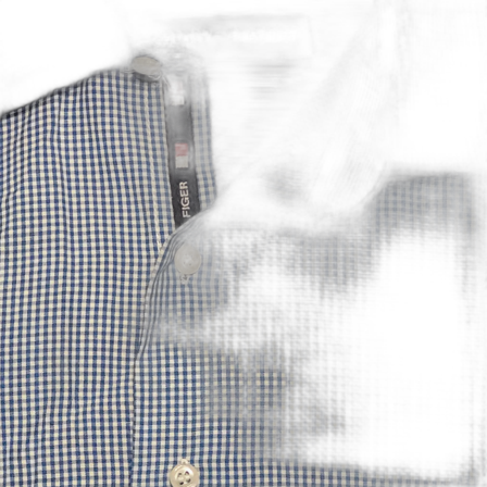 Blårutig skjorta från Tommy Hilfiger