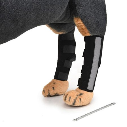 Hundknästöd för ACL-stöd Andningsbart hundbenstöd för skydd mot skador