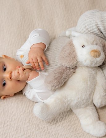 Teddykompaniet Karo, Speldosa, Hund - White - 37 CM