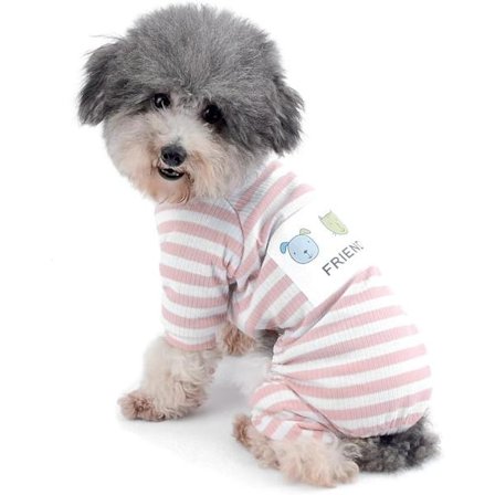 Mysiga små hundar i bomullsrandiga vinterpyjamas - Valp och katt