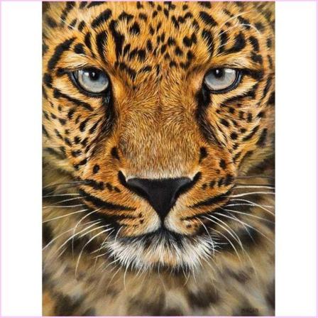 Diamond Painting Fyrkantiga Pärlor 50x70 Cm 5d Diy Leopard Djur Multifärg