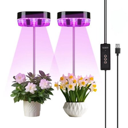 Plantelys for planter og sukkulenter innendørs (2 enheter)