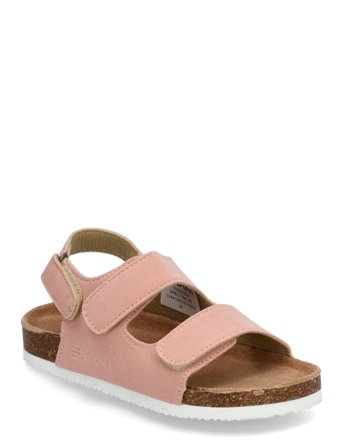 Exani | Spectra Jr | 31