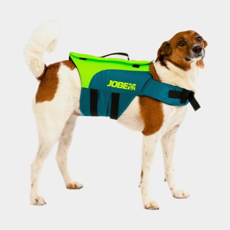Dog life jacket JOBE Pet Vest Lime Teal, Large