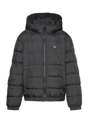 Shield Padded Jacket Foret Jakke Black GANT