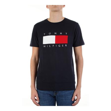 Tommy Hilfiger Short sleeve shirt Blå, Herre T-shirts