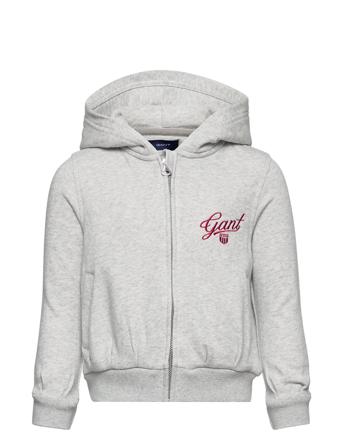 D1. Script Shield Full-Zip Hoodie Grey GANT