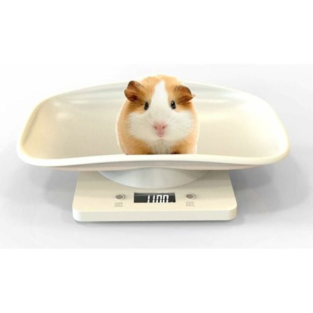 Digital husdjursvåg med LCD-display, 4 viktlägen (oz/ML/LB/g) för husdjur och köksmätning av katter, hundar, mat, kapacitet upp till 10 kg/22 lb