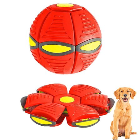 Hund Diskusboll Röd