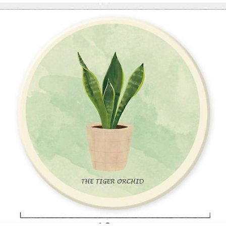 Diatoméjord Absorberende Brikker, Varmeisolerende, Fugtabsorberende Brikker, Nordiske Planter 04