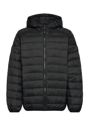 Jack & Jones | Jjebradley Light Puffer Hood Jnr | 128