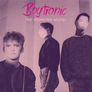 The working model Boytronic