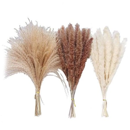 IC Pampasgress, Naturlig Tørket Pampasgress, Fluffig Boho Pampas