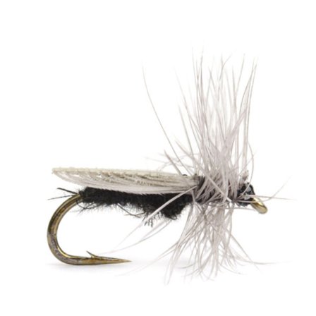 Diptera size 14