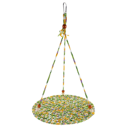 Skjeggagam Hengekøye Reptiler Hengekøye Huske Hengende Seng Øgle Huske Leke