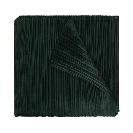Issey Miyake, Winter Scarves Groen, Dames, Maat:ONE Size