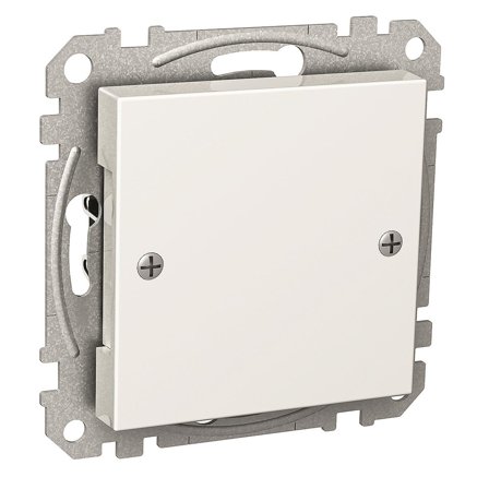 Schneider Electric Exxact Blindlokk med metallstøtteramme Med skrue, Strømbrytere & vegguttak