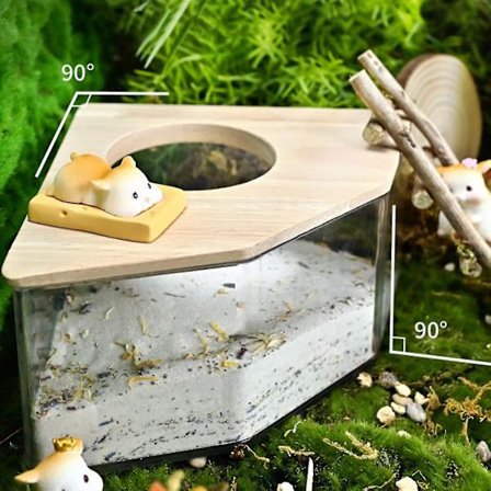 Hamster Badeværelse Tykt Panel Overlegen Habitat Synligt Lille Dyr Hamster Sandbeholder Til Hjemmet