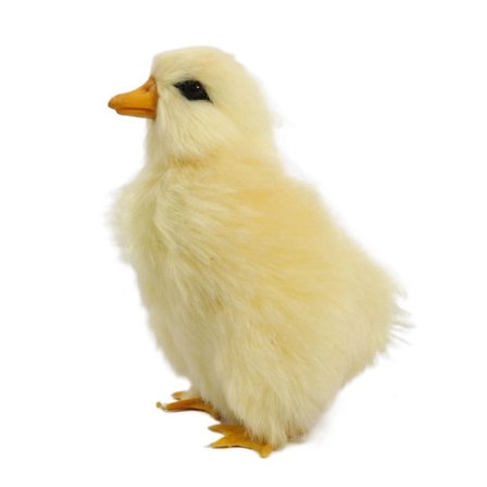 Vocalize Pehmo Ankan simulaatio Furry Duckling 2-COMMON 2-COMMON