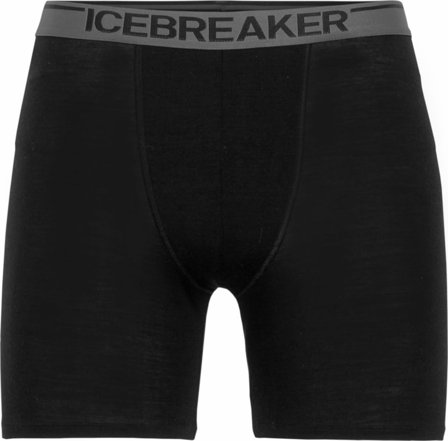 Icebreaker Men's Anatomica Long Boxers Men undergarment Black M
