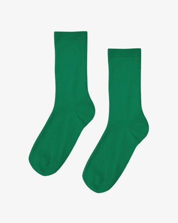 Women Classic Organic Sock - Kelly Green - Female - 36-40