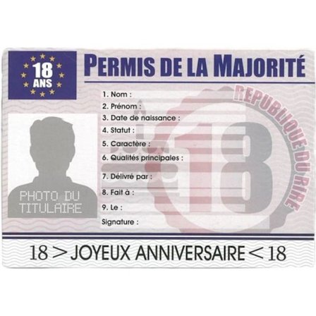 Faux körkort - STC - 18-års Jubileum - Anpassningsbar - Humor - 15.5 cm x 22 cm
