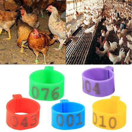 100X 16 mm Clip On Ben Band Ringar til kyllinger Ænder Høns Fjerkræ Rød SQBB