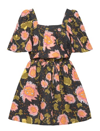 Stella Nova | Petulla | 40