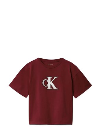 Calvin Klein | Festive Graphic Ss T-Shirt | 152