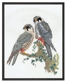 Broderikit Billede Falcons - Thea Gouverneur
