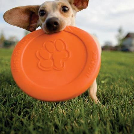Zogoflex Hundfrisbee Zisc Storlek L Orange 1937 Orange