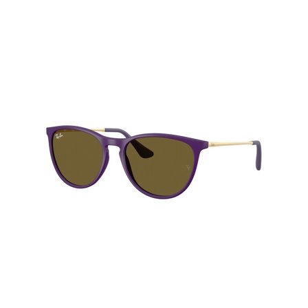 Ray-Ban Junior Erika - Solbriller - Lilla - Barn - RJ9060S 717973 5015