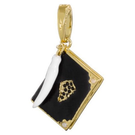 Harry Potter Berlock Tom Riddle Diary