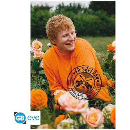 Ed Sheeran Plakat Field 90